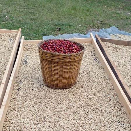 En Café Armenta Cafe