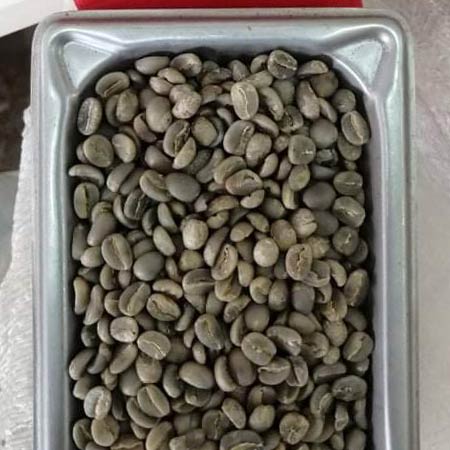 En Café Armenta Antes de tostar