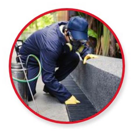 En Fumigaciones Morciz Desinfección